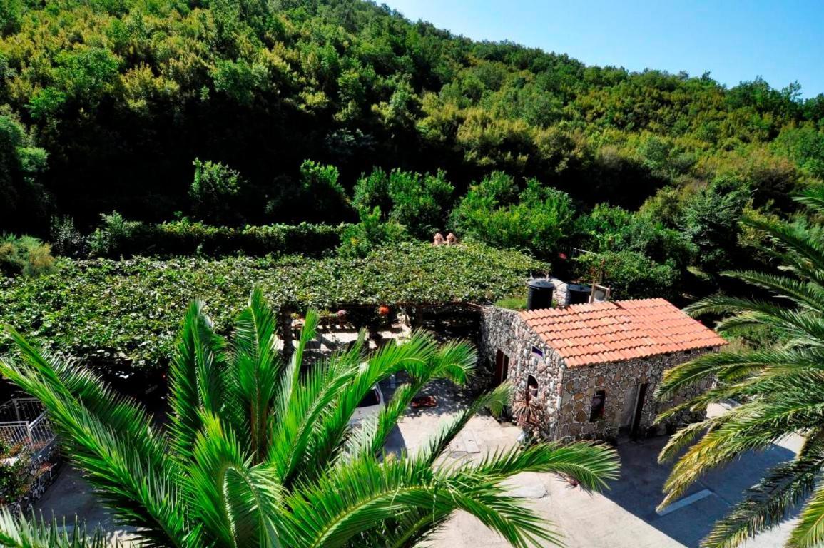 Apartments Radonjic Budva Exteriér fotografie